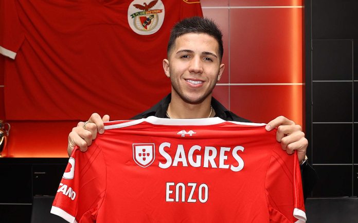 Enzo Fernández na chegada ao Benfica, em 2022
