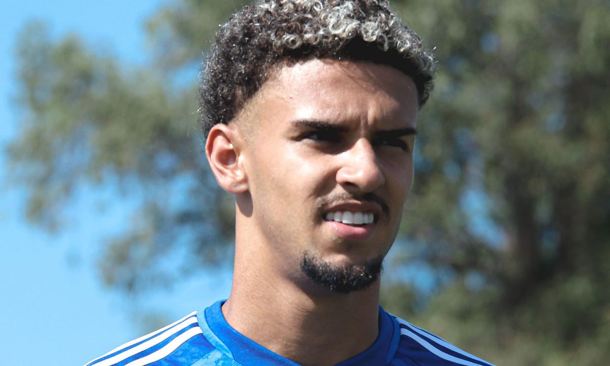 Gui Meira