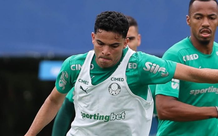 Bruno Rodrigues, atacante do Palmeiras (Foto: Cesar Greco/Palmeiras)