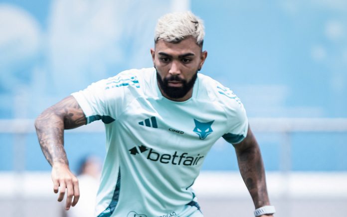 Gabigol, atacante do Cruzeiro emprestado ao Santos (Foto: Gustavo Aleixo/Cruzeiro)