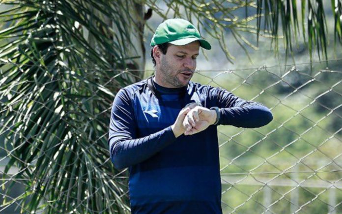 Daniel Paulista, treinador do Goiás