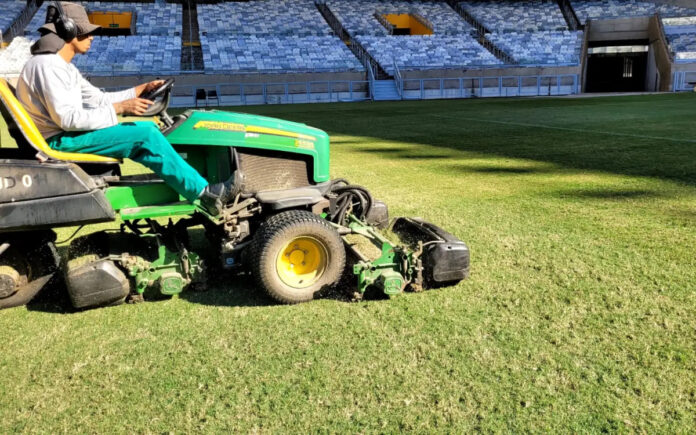 Mineirão iniciou plantio de grama de inverno (Foto: Divulgação/Mineirão)