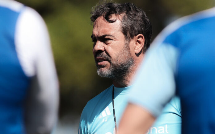 Artur Jorge, técnico do Cruzeiro (Foto: Gustavo Martins/Cruzeiro)