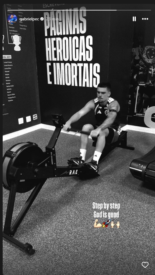 Pec publicou vídeo nos stories do Instagram (Foto: reprodução/Instagram)